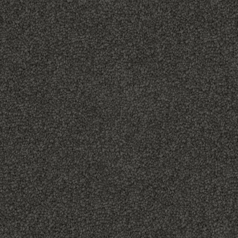 Urban Grey carpet swatch
